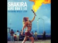 Hips don't lie (Bamboo version) - Shakira feat ...