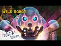 Roz S Journey Through The Wild The Wild Robot Compilation Movie Moments Mega Moments