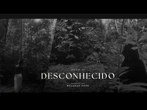 Kaik Araujo - SELO II: DESCONHECIDO (Official Book Visualizer)