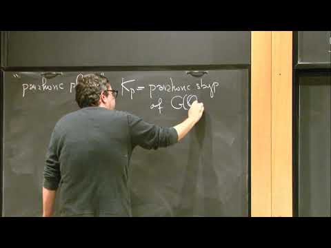 Canonical integral models of Shimura varieties - George Pappas