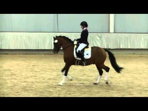 Cosmopolitan D - Hengstschau Münster-Handorf