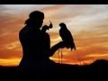 Yanni Yanni Arabic music موسيقي ياني 