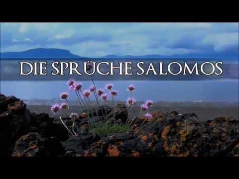 Die Bibel/DIE SPRÜCHE SALOMOS Kap.  1