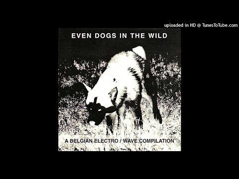 Stin Scatzor – I Will Die