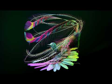 Flume feat. Caroline Polachek - Sirens (Official Visualiser)
