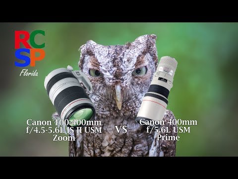 Canon 400mm Prime vs 100-400mm Zoom