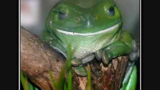 Joey Negro - What a life! (Extended club mix)