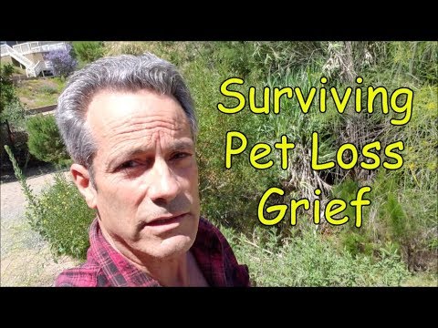 Surviving Pet Loss Grief