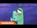 SpongeBob SquarePants | Planktons nieuwe huisdier | Nickelodeon Nederlands