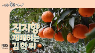 [나는농부다 290회] 진지향 재배하는 김 학 씨