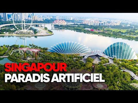 Singapour, voyage dans un paradis artificiel : entre luxe et inégalités - Enquête AMP