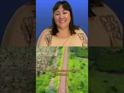 Comienza la mentoría del Programa Upgrade de la ONU en Campo Ramón