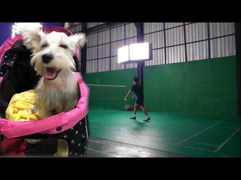 F | MS | Nippit Anukoolprasert (THA) [1] vs Tawinan Anukoolprasert (THA) [2]  | BWF 2020