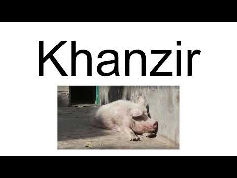 Khanzir