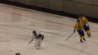 preview picture of video 'SAIK-Zorkij World Cup 2013, 6-3-målet'