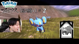 熱き決闘者（偽物）によるPokémon　LEGENDS　アルセウス　S&D 　＃2