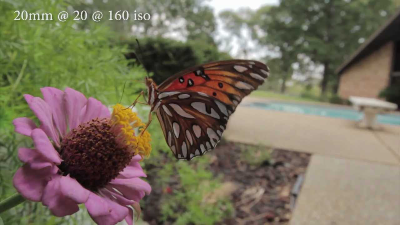 Объектив Sigma AF 10-20mm f/3.5 EX DC HSM Nikon F