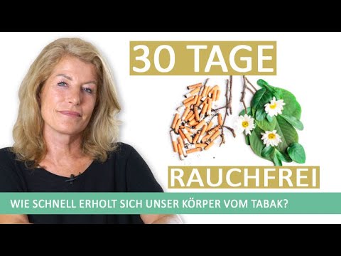 Langzeitschäden Rauchen: Was passiert mit deinem Körper nach 30 Tagen ohne Zigaretten (Lunge, Herz)