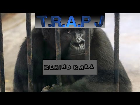 T.R.A.P J - Stalin