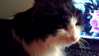 Through A Long Sleepless Night - Dean Martin