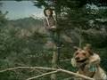 Leo Sayer & The muppets - When i need you 