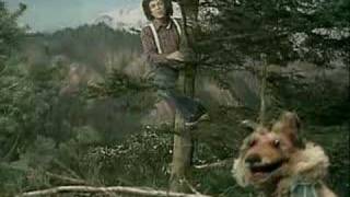 Leo Sayer & The muppets - When i need you