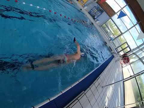 Reprise du club Moissy Sport Natation