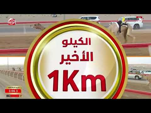 ش 7 (مجمل) لـ سالم احمد بالحوته العامري 4:39:23 ، مهرجان العين 2026/08/05 لقايا الروضة