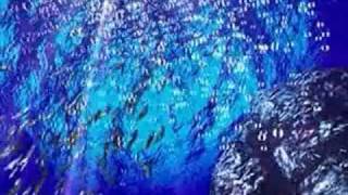 Squall and Rinoa- "In Transit for You" by Matchbook Romance