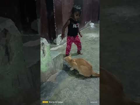 Rashu Playing with cat meau meau #funny #dance #music