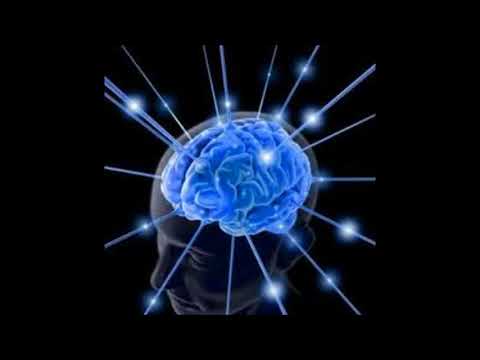 The Eye, the Brain and the Nervous System (Official Audio)