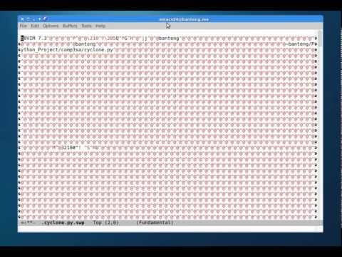 Tornado Powered Flask Web Framework Python