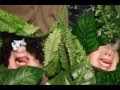 Jungle Life (Tarzan Boy)- Cover by Kayla & Melody ...
