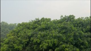 الذهب و ‏تجهيز موقع جديد داخل الأندونيسي