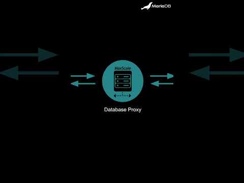 What is a Database Proxy?
