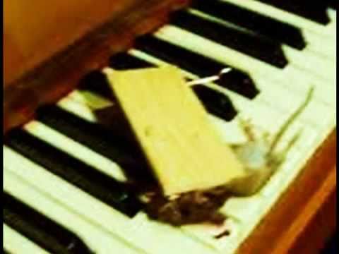 Oliver Benic - "U špajzu" for baritone and piano