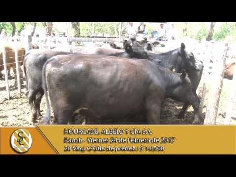 24-02-17 Venta de Vaq. Preñadas - Hourcade, Albelo y Cia S.A. - Rauch.