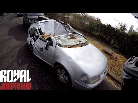 Daily Observations 186