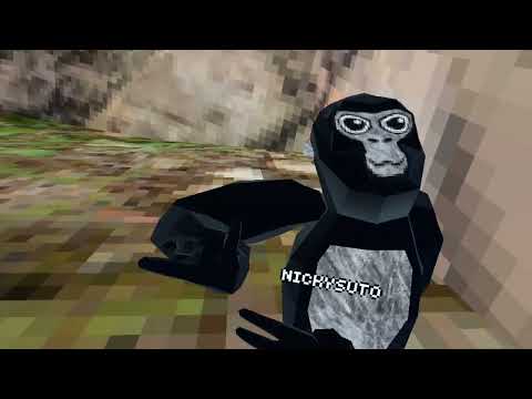 Gorilla Tag Gameplay (No Commentary)