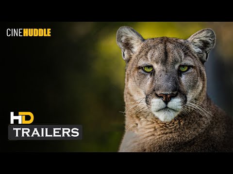 Deep in the Heart: A Texas Wildlife Story (2022) ┊ Trailer