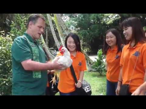 児童教育学科 安田女子大学国際観光ビジネス学科 HIBISCUS2018 short2