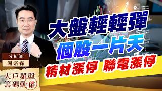 大盤輕輕彈 個股一片天 精材漲停 聯電漲停｜大戶羅盤籌碼動能 ｜謝宗霖 (圖)