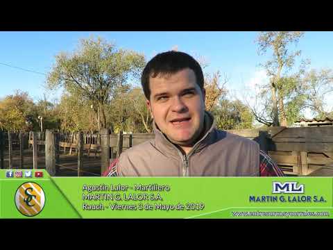 03-05-19 - Agustin Lalor - Martillero - Martin G. Lalor S.A. -  Rauch