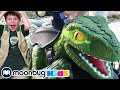 Dinosaur Green Raptor Ride Jurassic Tv Dinosaur Adventures For Kids