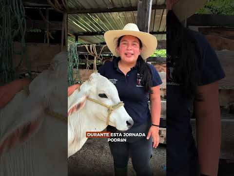 INVITACIÓN | TERCER MERCADO GANADERO 2026