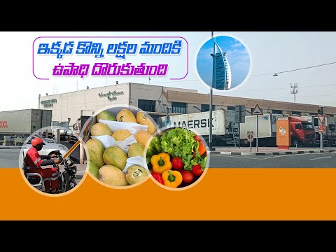 Al Aweer Fruits And Vegetables Market In Dubai | Export And Import Of Fruits And Vegetables Market