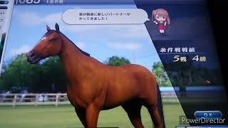 【スタホ4／スターホース4】スターホース4をやってみた《特别編》〜    自己満足の世界  変則18.75%とローエングリンの再現  〜