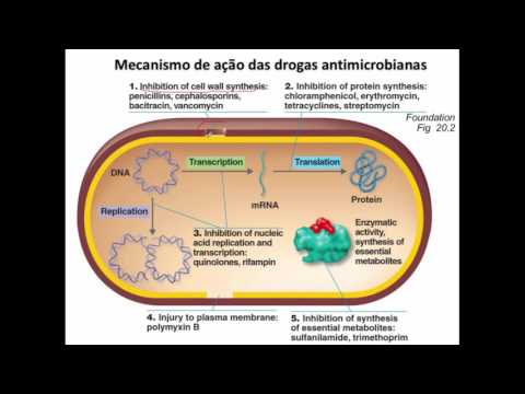 Pharmacology Course: Lesson 29 - Introduction to antibiotic therapy