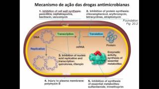 Curso de Farmacologia: Aula 29 - Introducao a antibioticoterapia