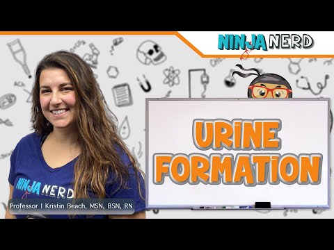 Urine Formation & Micturition